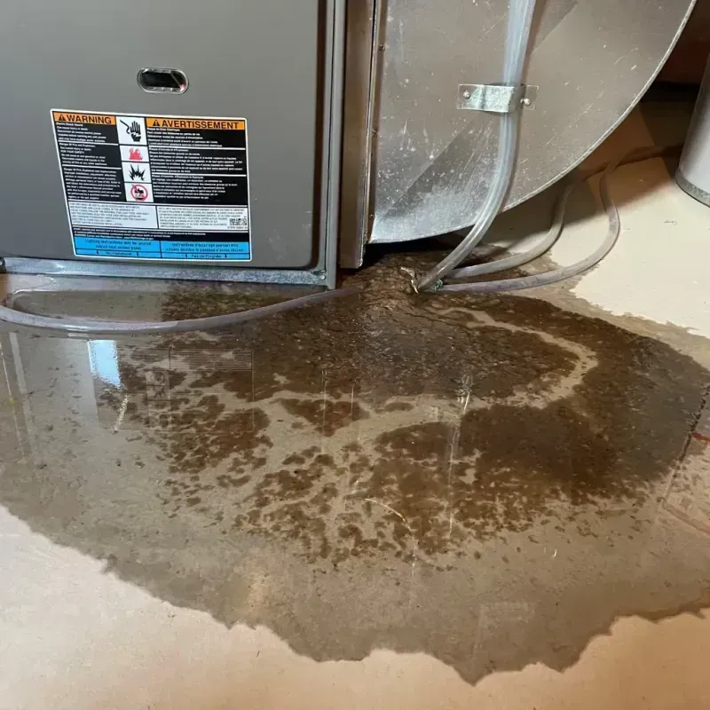 Appliance Leak Cleanup in Wolf Point, MT